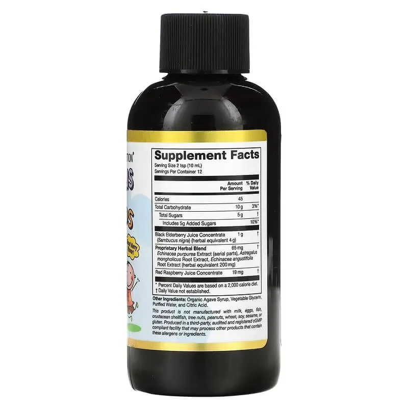 California Gold Nutrition Black Elderberry Echinacea Syrup, 120 ml