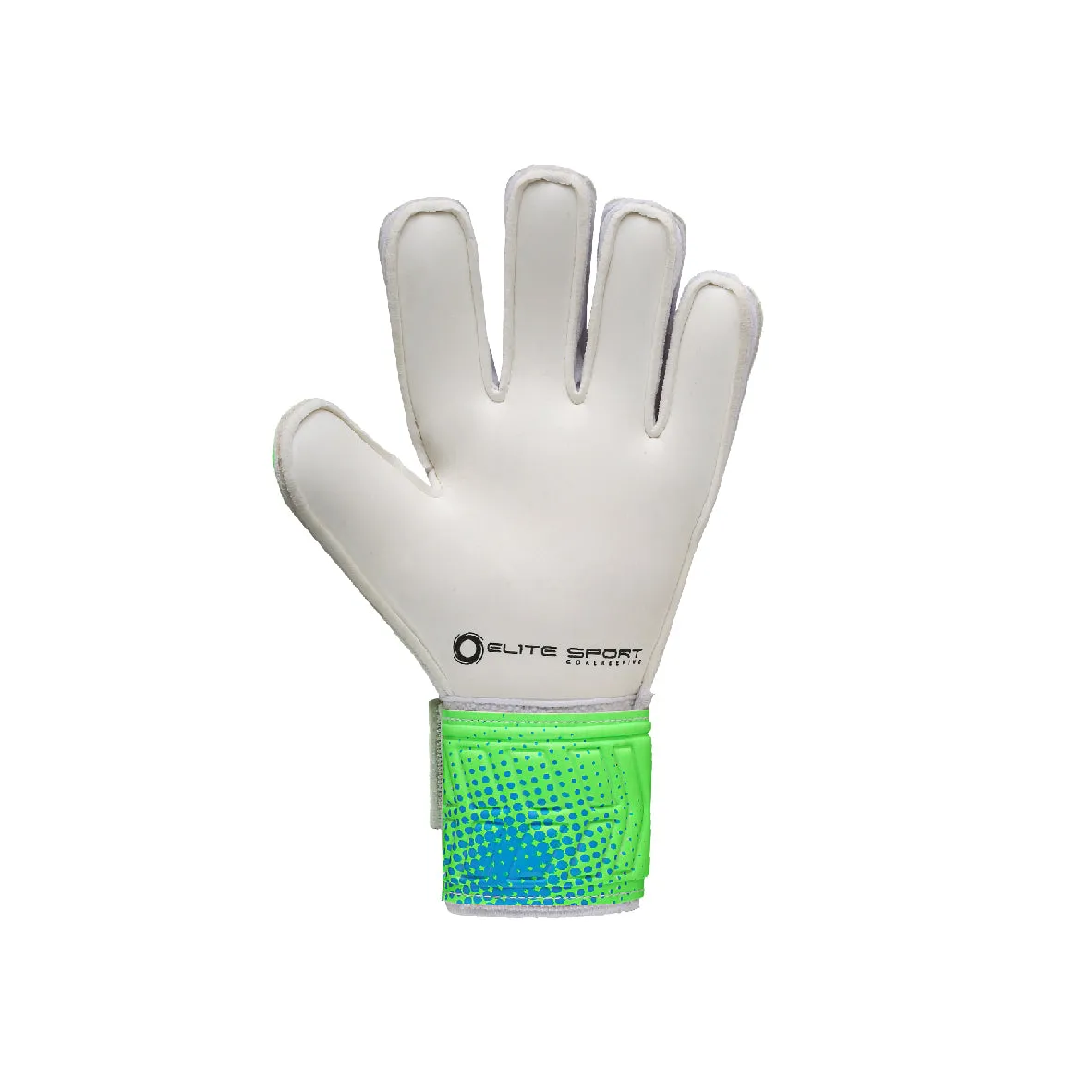 Crash 2024-2025 Goalkeeper Gloves