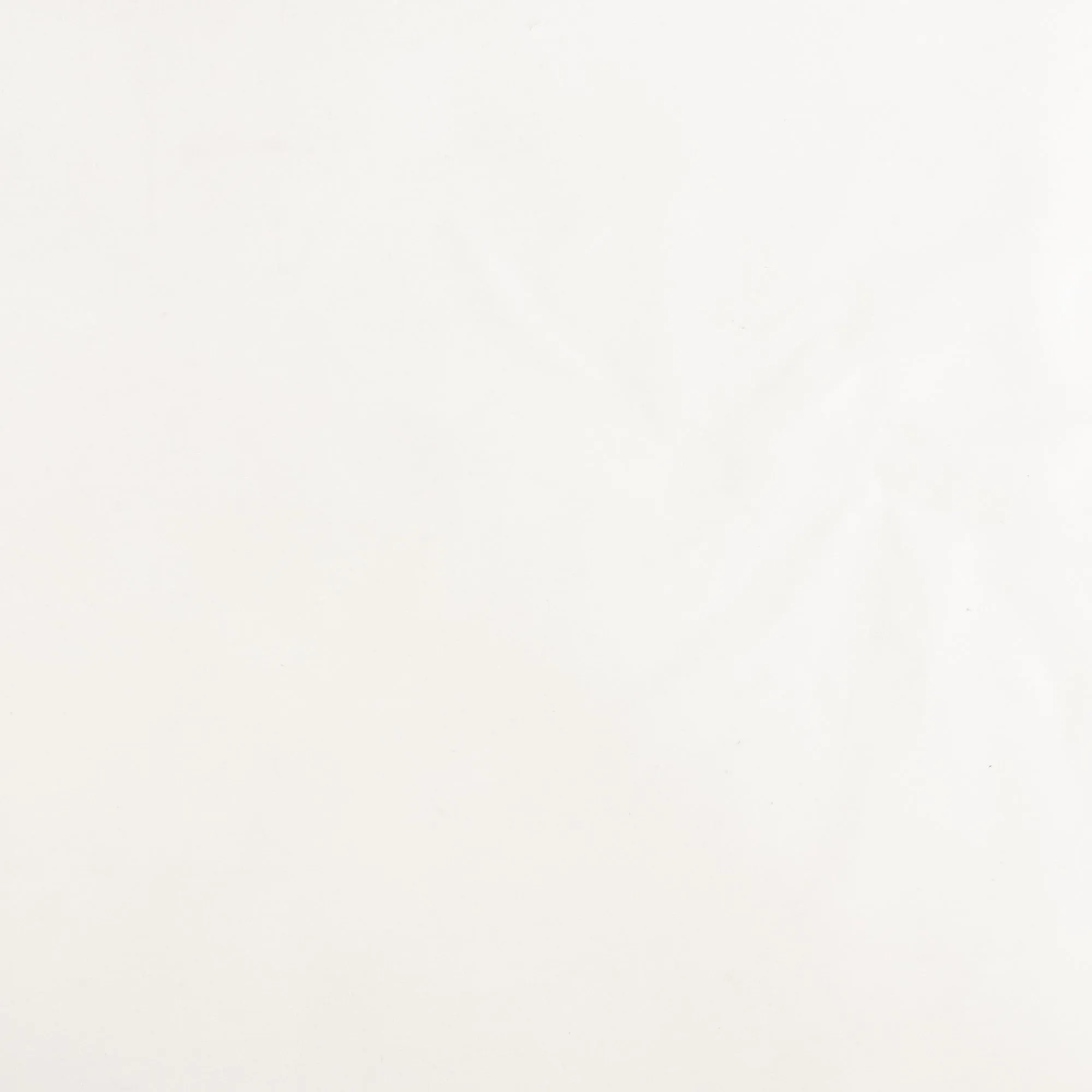 Water Repellent Fabric - CANADA MOOSE - White
